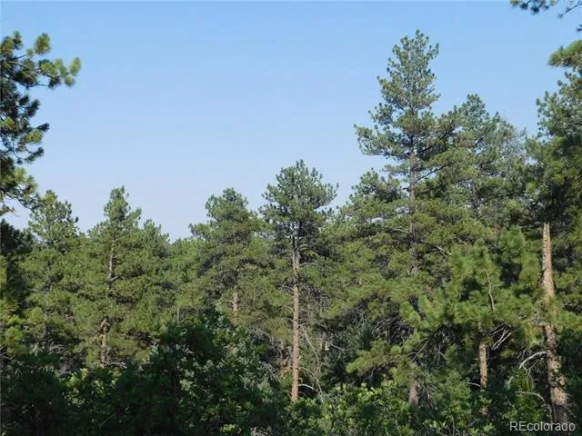 8122 Acoma Drive Larkspur, CO 80118