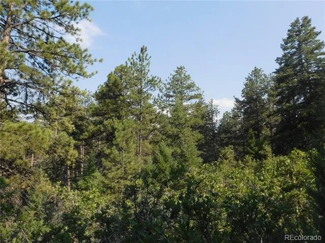 8122 Acoma Drive Larkspur, CO 80118