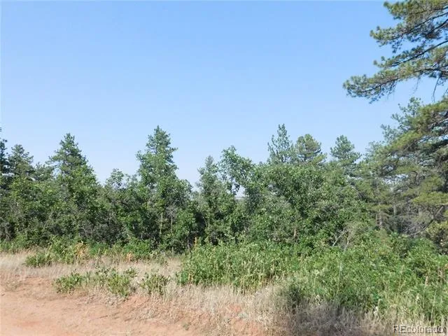 8122 Acoma Drive Larkspur, CO 80118