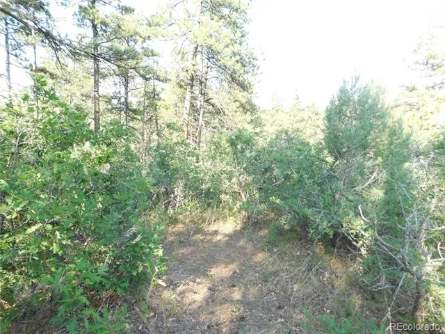 8122 Acoma Drive Larkspur, CO 80118
