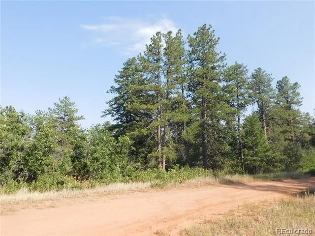 8122 Acoma Drive Larkspur, CO 80118
