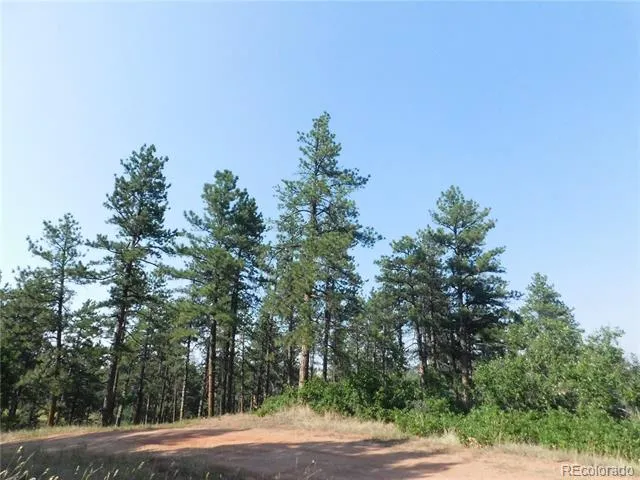 8122 Acoma Drive Larkspur, CO 80118