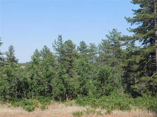 8122 Acoma Drive Larkspur, CO 80118
