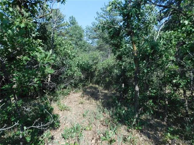 8122 Acoma Drive Larkspur, CO 80118