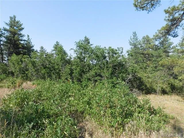 8122 Acoma Drive Larkspur, CO 80118