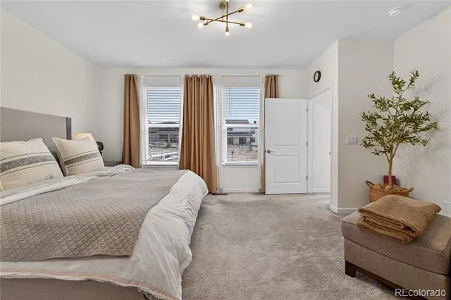 5737 Amarosa Drive Parker, CO 80134