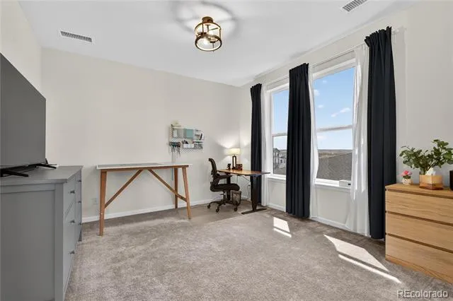 5737 Amarosa Drive Parker, CO 80134