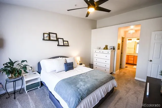 479 Black Feather Loop #319 Castle Rock, CO 80104