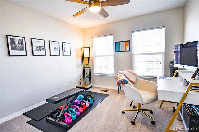 479 Black Feather Loop #319 Castle Rock, CO 80104