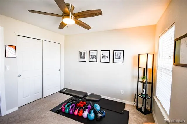 479 Black Feather Loop #319 Castle Rock, CO 80104