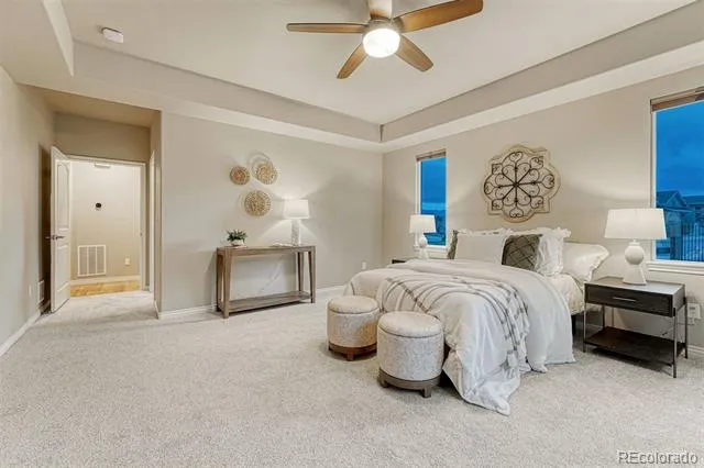 1706 Catnap Lane Monument, CO 80132