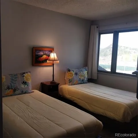 250 Cove Boulevard #3 Dillon, CO 80435