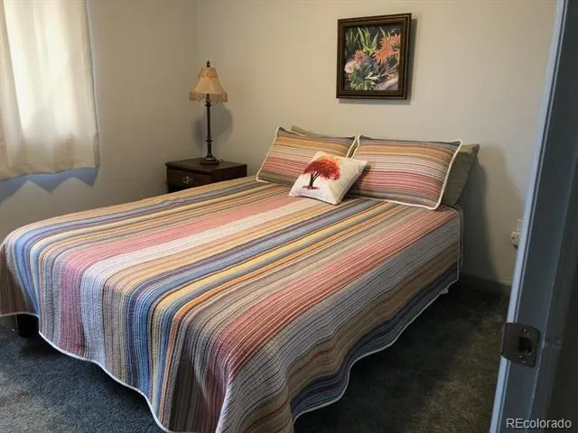 250 Cove Boulevard #3 Dillon, CO 80435
