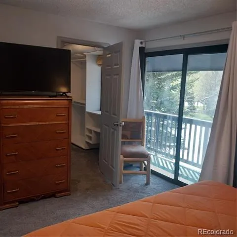 250 Cove Boulevard #3 Dillon, CO 80435