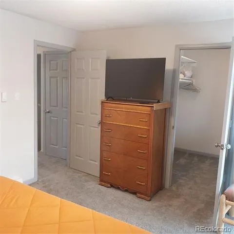250 Cove Boulevard #3 Dillon, CO 80435