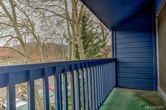 250 Cove Boulevard #3 Dillon, CO 80435