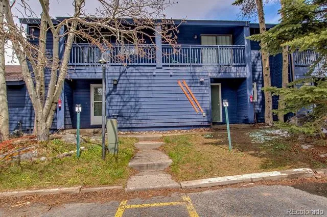 250 Cove Boulevard #3 Dillon, CO 80435