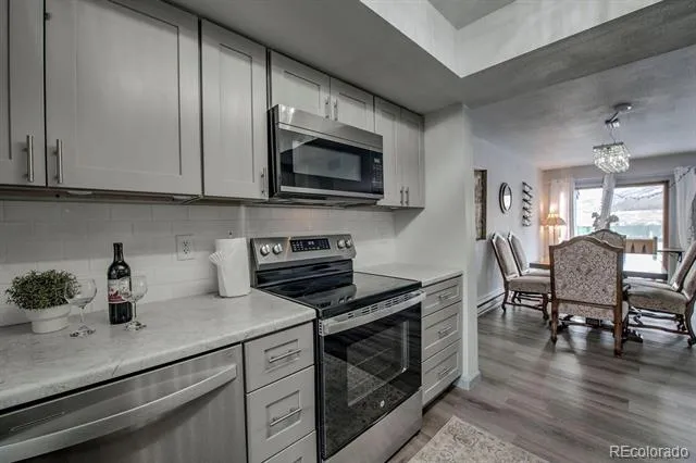 250 Cove Boulevard #3 Dillon, CO 80435