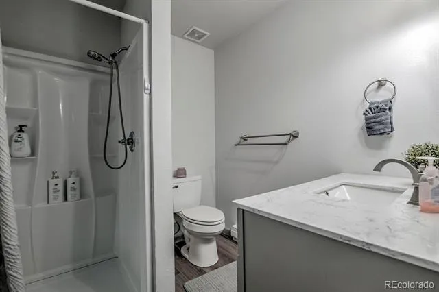 250 Cove Boulevard #3 Dillon, CO 80435