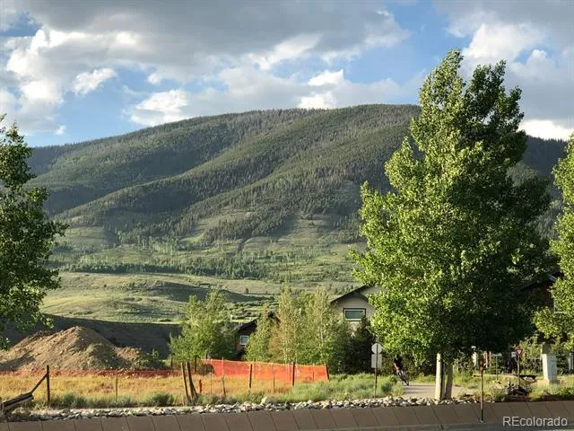 250 Cove Boulevard #3 Dillon, CO 80435