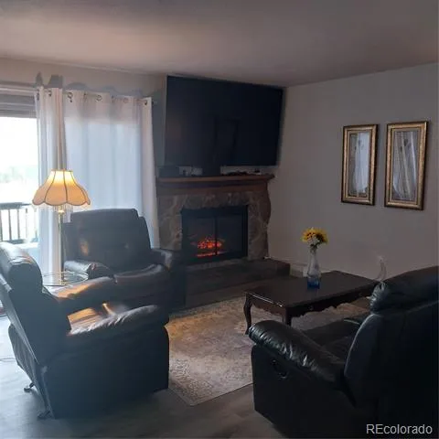 250 Cove Boulevard #3 Dillon, CO 80435