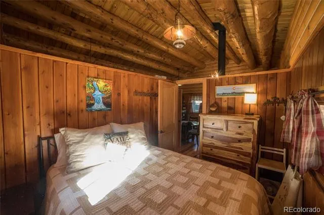 226 S San Juan Unit 10 Avenue Buena Vista, CO 81211