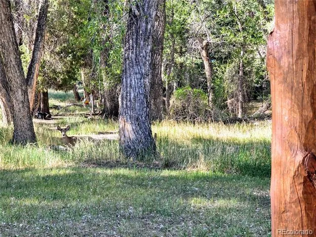 226 S San Juan Unit 10 Avenue Buena Vista, CO 81211