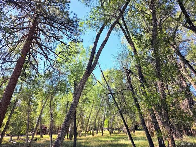 226 S San Juan Unit 10 Avenue Buena Vista, CO 81211