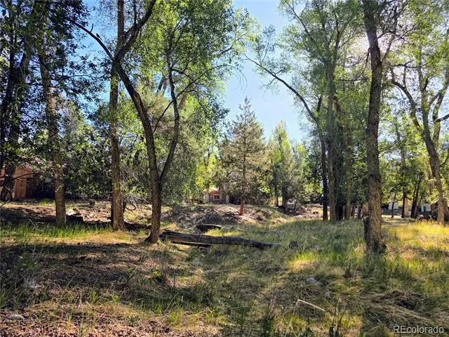 226 S San Juan Unit 10 Avenue Buena Vista, CO 81211