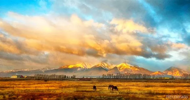 226 S San Juan Unit 10 Avenue Buena Vista, CO 81211