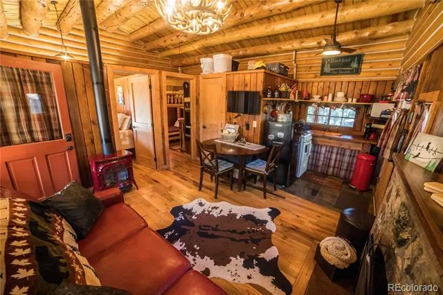 226 S San Juan Unit 10 Avenue Buena Vista, CO 81211