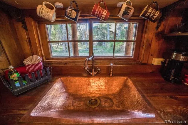 226 S San Juan Unit 10 Avenue Buena Vista, CO 81211