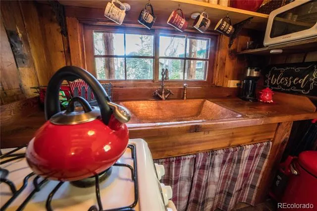 226 S San Juan Unit 10 Avenue Buena Vista, CO 81211