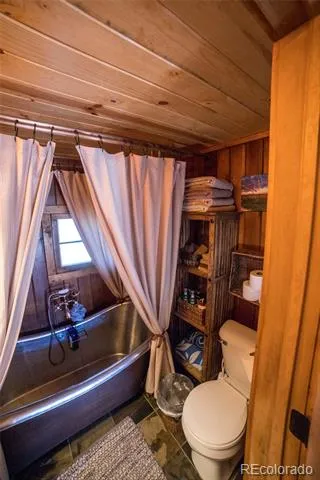 226 S San Juan Unit 10 Avenue Buena Vista, CO 81211