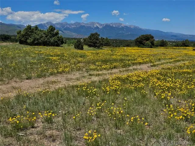 2490 County Road 1A Cotopaxi, CO 81223