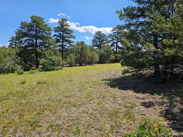 2490 County Road 1A Cotopaxi, CO 81223