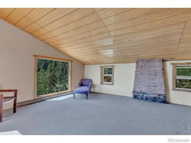 13 Modoc Street Ward, CO 80481