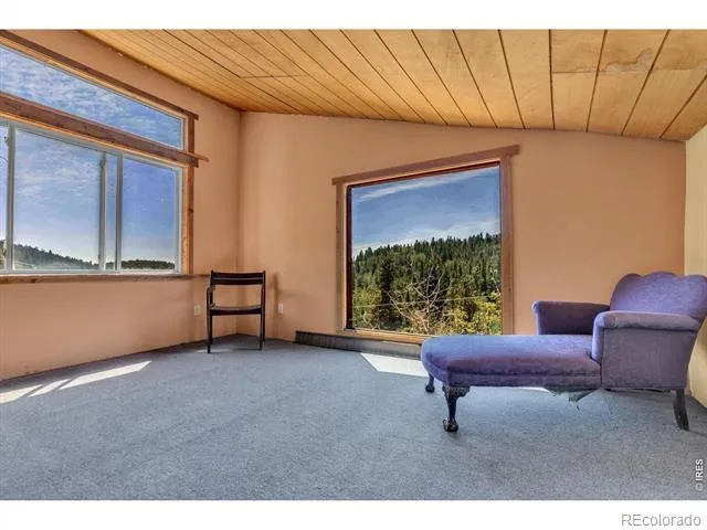 13 Modoc Street Ward, CO 80481