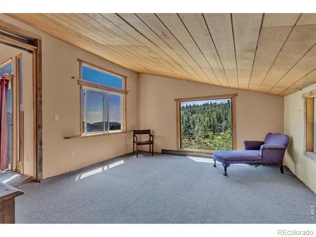 13 Modoc Street Ward, CO 80481