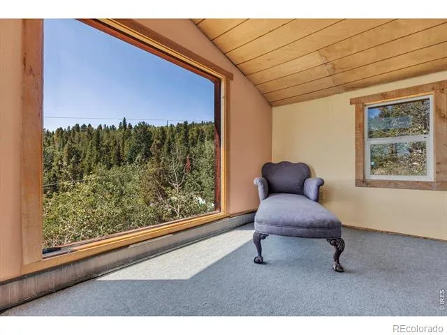 13 Modoc Street Ward, CO 80481