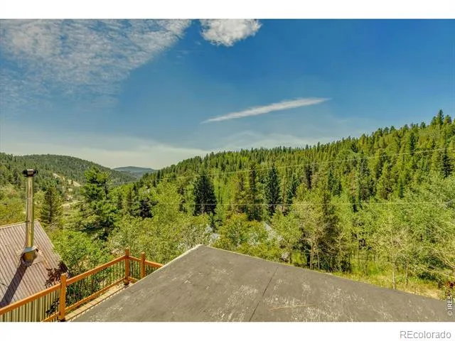 13 Modoc Street Ward, CO 80481