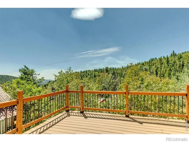 13 Modoc Street Ward, CO 80481