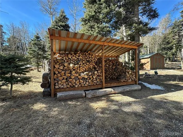 2945 Forbes Park Road Fort Garland, CO 81133
