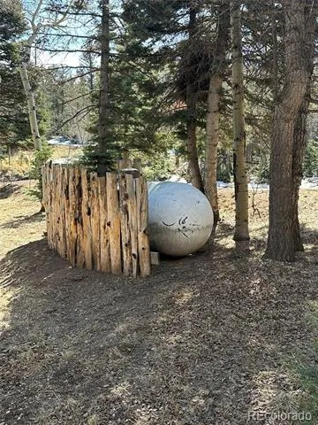 2945 Forbes Park Road Fort Garland, CO 81133