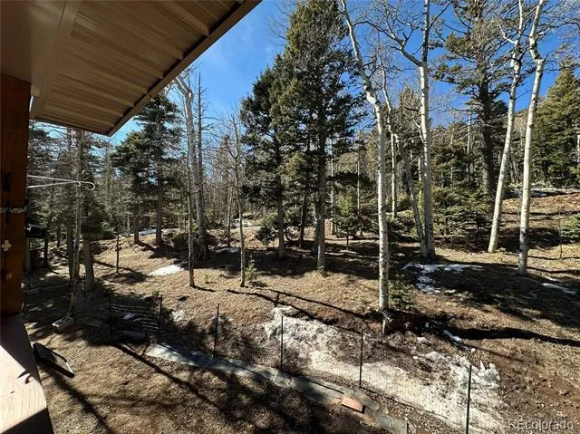 2945 Forbes Park Road Fort Garland, CO 81133