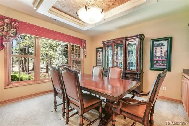 17556 Colonial Park Drive Monument, CO 80132