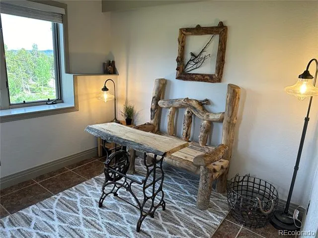 1101 County Rd 99 Black Hawk, CO 80422