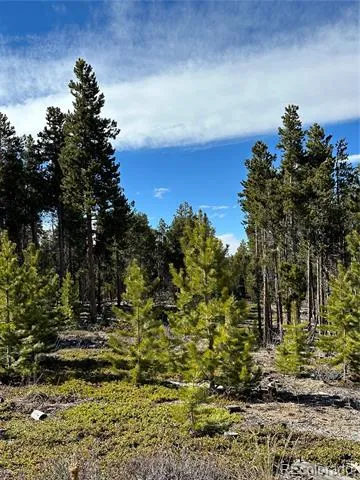 1101 County Rd 99 Black Hawk, CO 80422