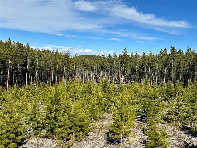 1101 County Rd 99 Black Hawk, CO 80422
