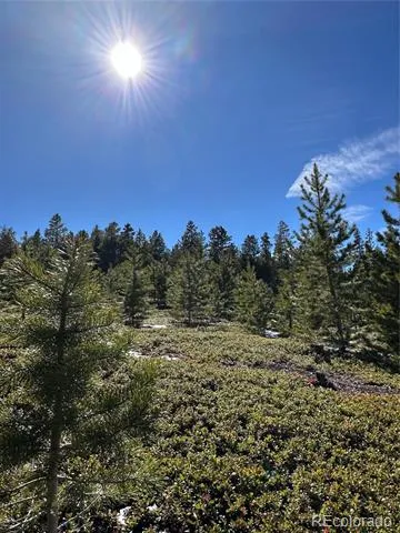 1101 County Rd 99 Black Hawk, CO 80422